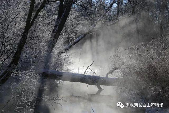 搞怪女孩睡衣派对